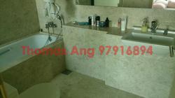 Soleil @ Sinaran (D11), Condominium #88391432